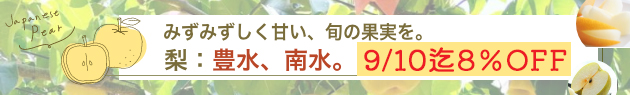 長野県　梨　幸水　豊水
