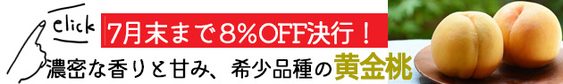 桃 予約販売 黄金桃