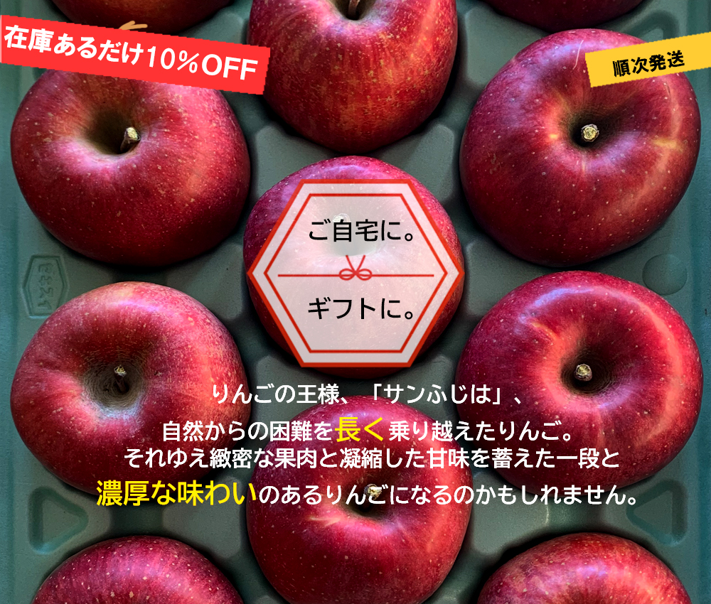 【りんご★sale】 ニュージーランド産 JAZZりんご(品種:サイフレッシュ) 約2.6キロ(12玉