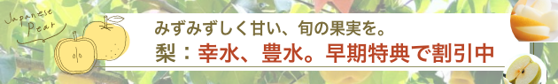 長野県　梨　幸水　豊水