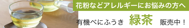 有機べにふうき 販売中