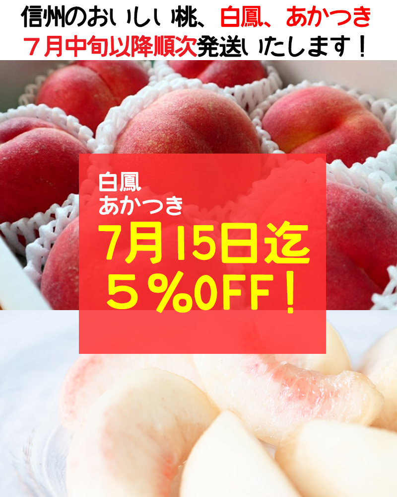 早期予約割引