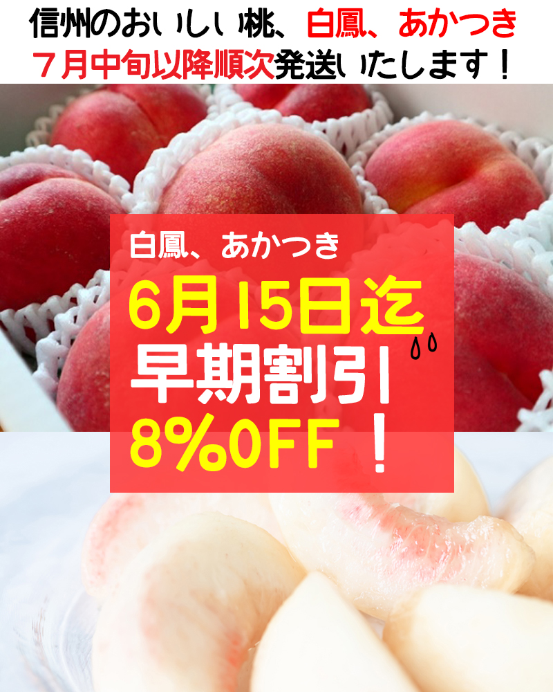 早期予約割引