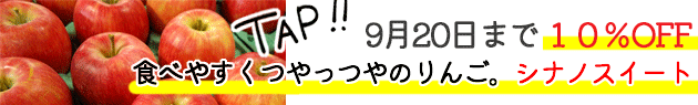 食べやすくつやっつやのりんご。シナノスイート