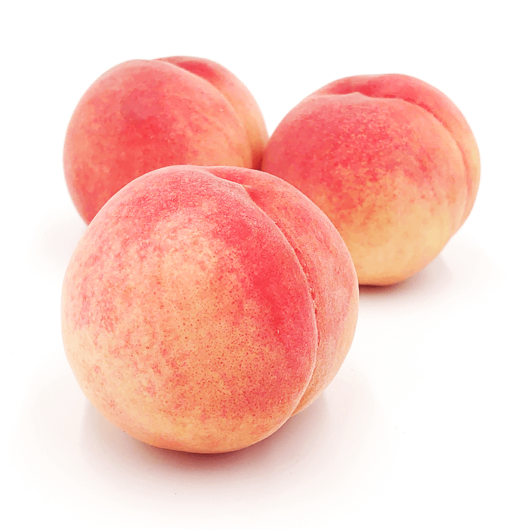 今が旬！白鳳の特徴 COCORO FARMの桃は糖度10%保証