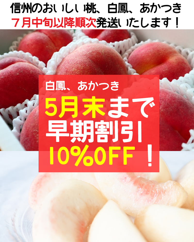 早期予約割引