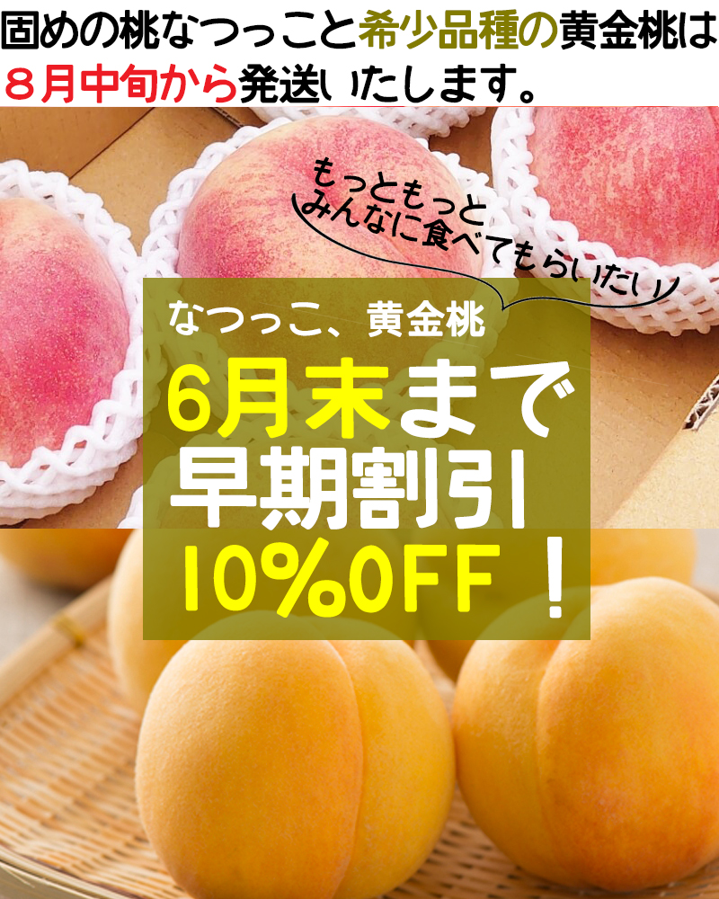 早期予約割引
