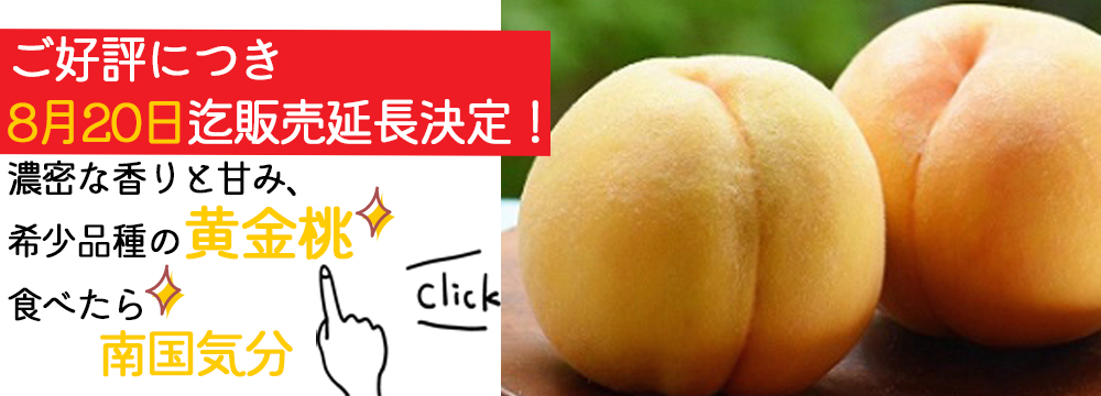 早期予約割引