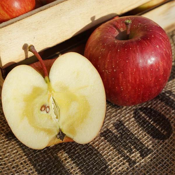 「サンふじ」りんごの品種の選び方