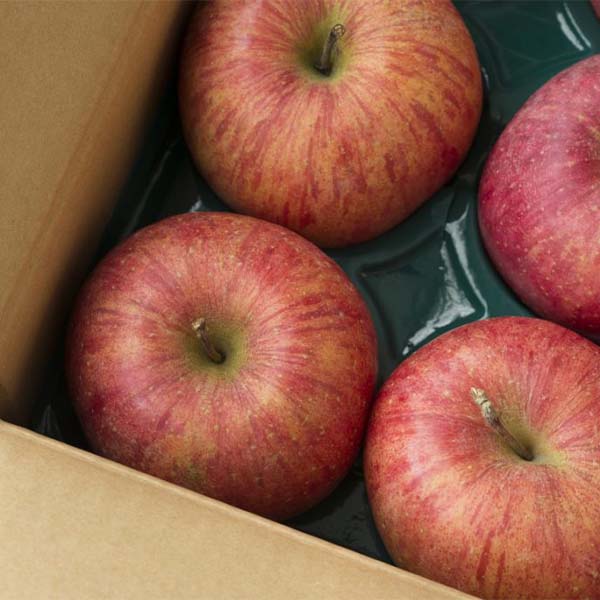 大人気のりんご「サンふじ」品種の特徴や違いとは?