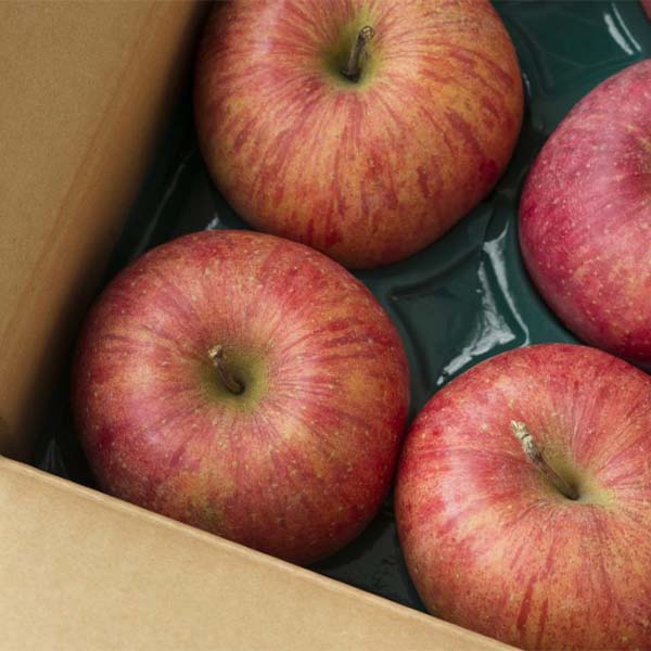 大人気のりんご「サンふじ」品種の特徴や違いとは？