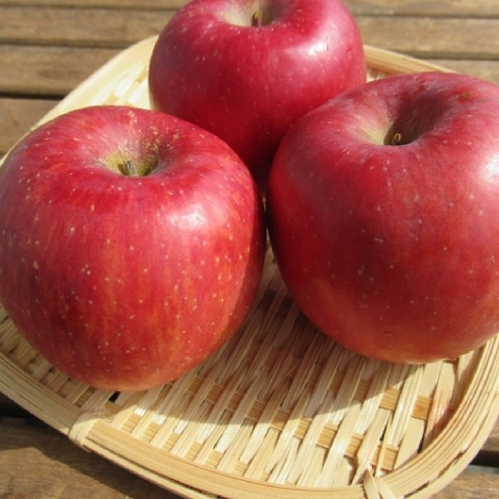 りんご「サンふじ」を長野から 偶然が生んだ品種に根強いファンも！