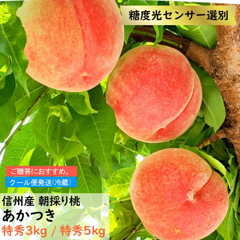 桃　あかつき 特秀3kg（7〜9玉）