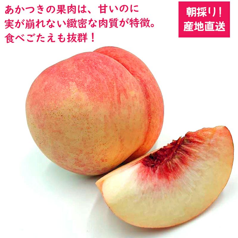 摘果桃 約１５キロ あかつき 送料込み 長野県産 桃 あかつき 特秀 約3キロ / 約5キロギフト 贈答