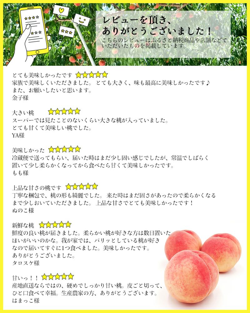 長野県産 桃 あかつき 特秀 約3キロ / 約5キロギフト 贈答