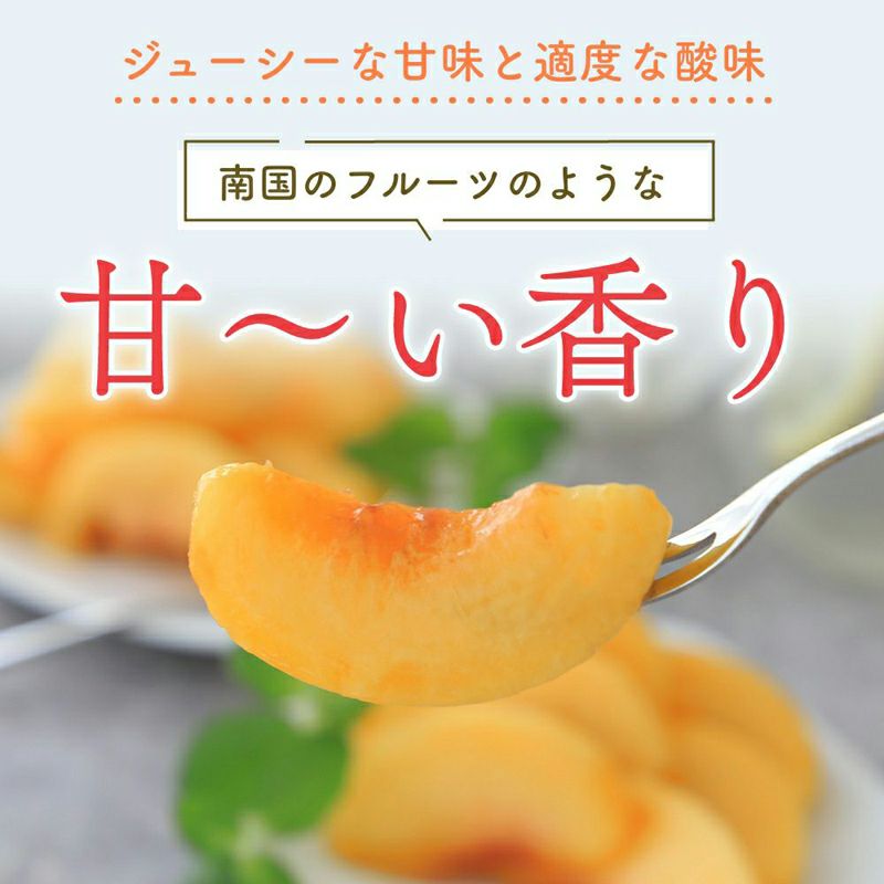 長野県産 桃 黄金桃特秀 約3キロ / 5キロ ギフト 贈答 | COCORO