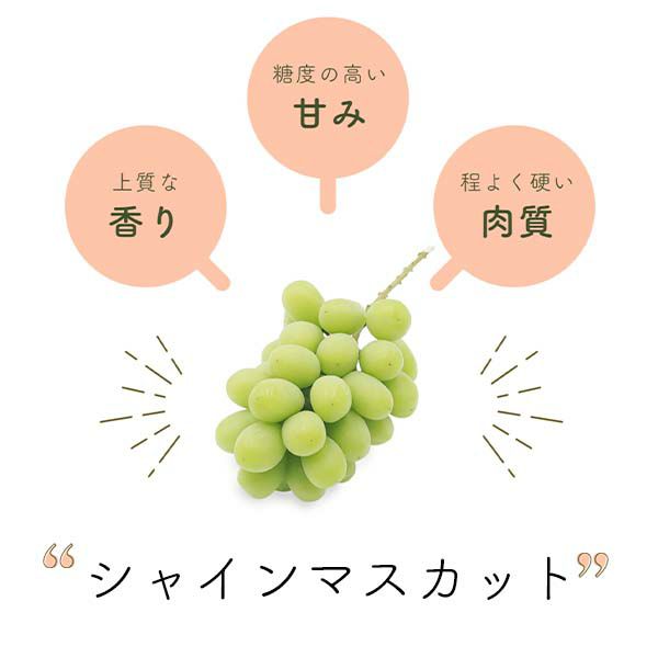シャインマスカットの特徴