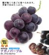 ナガノパープル