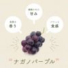 ナガノパープルの特徴