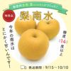 梨：南水