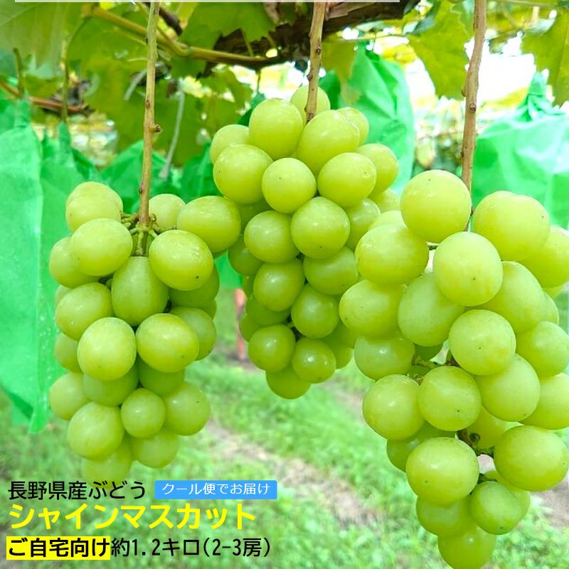 シャインマスカット