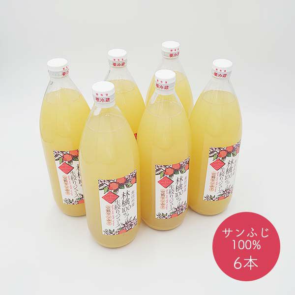 林檎ジュース　100％　6本セット