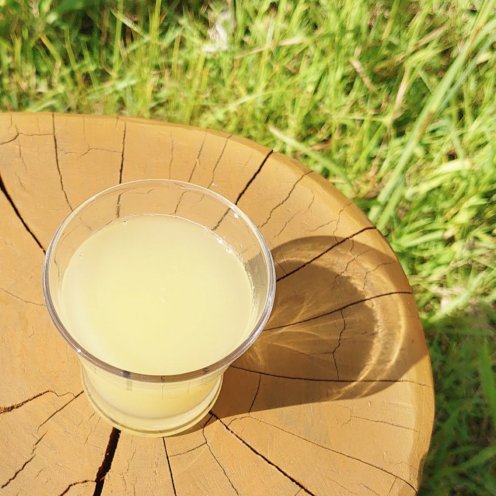 りんごジュース