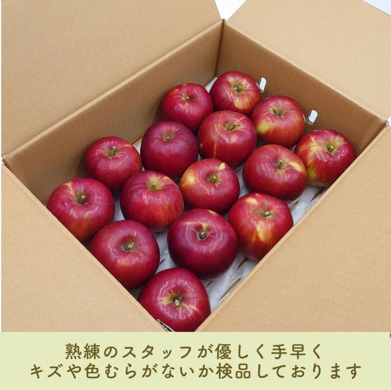 りんご 紅玉 秀3kg