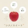 特徴