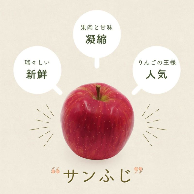 【糖度15度以上】【蜜入り】 りんご：サンふじ 贈答用3玉