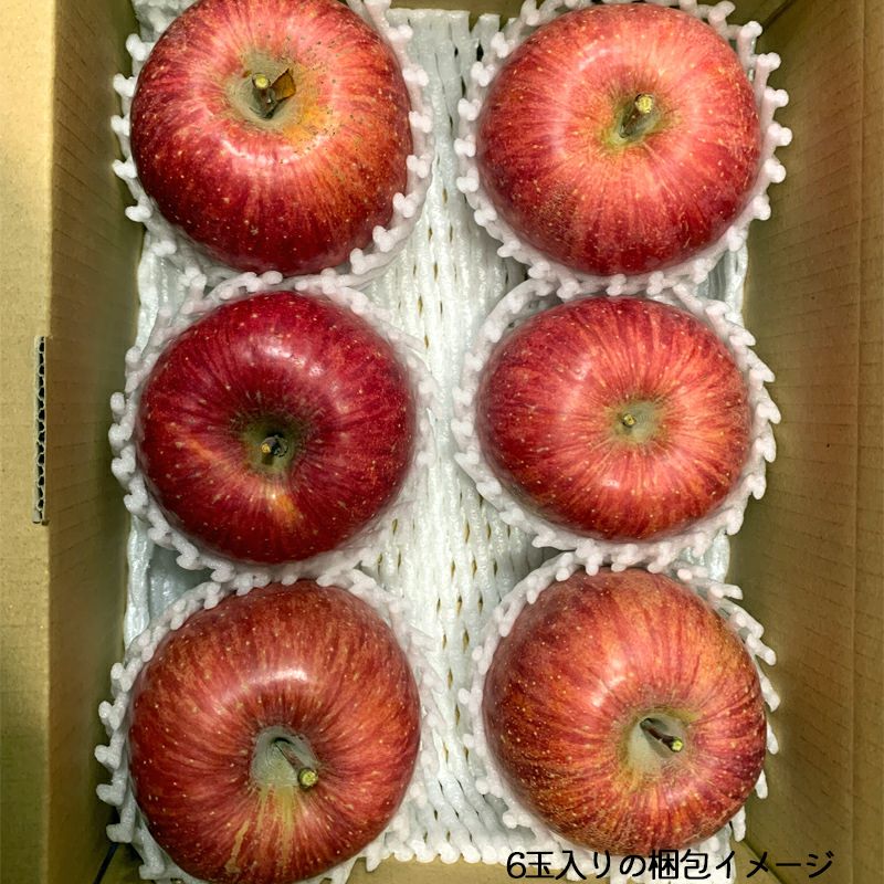 長野県産 りんご 蜜入り サンふじ 贈答用 お歳暮に | COCORO FARM VILLAGE