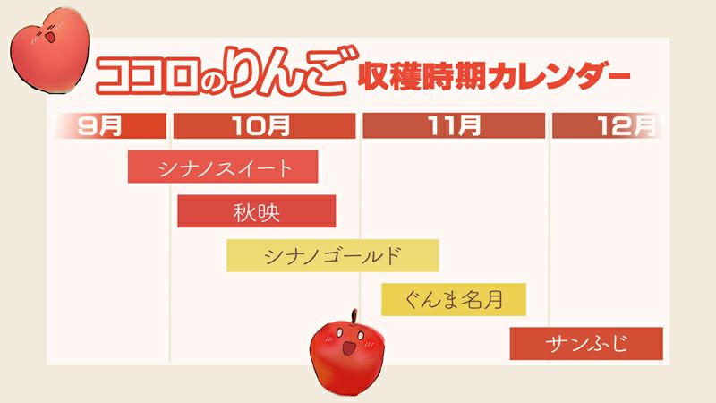 長野県産 りんご ぐんま名月 特秀 | COCORO FARM VILLAGE