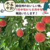 あかつきの特徴