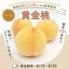 黄金桃