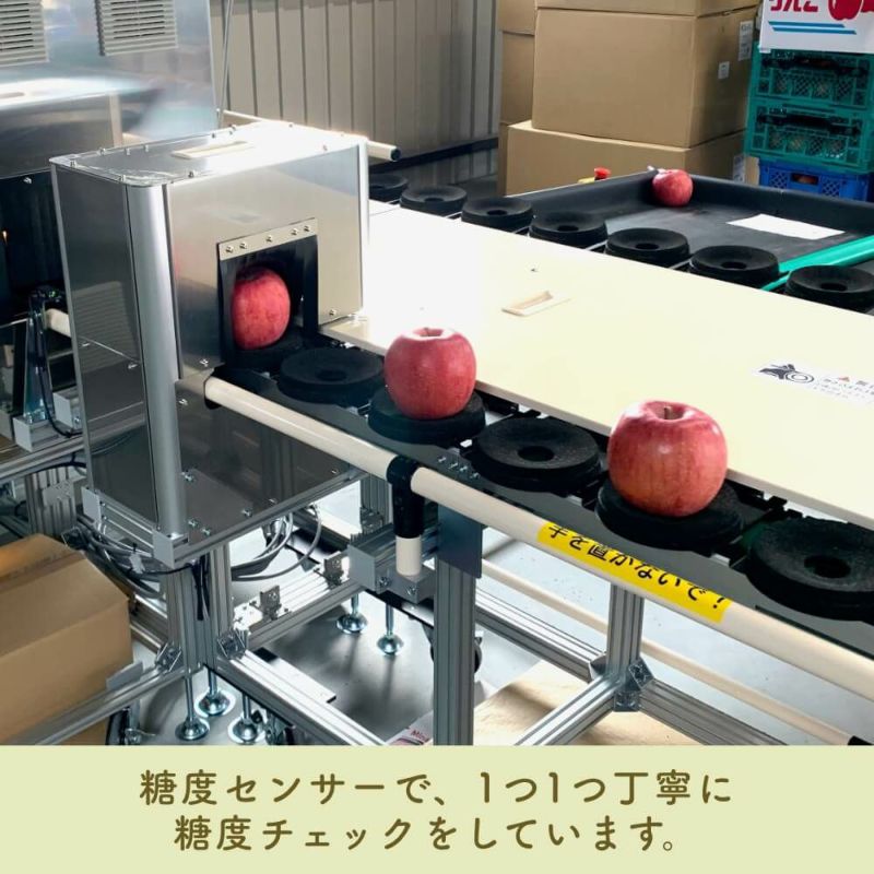 FARM　COCORO　シナノリップ秀3㎏　6/30まで5％OFF!】りんご　VILLAGE