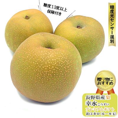 幸水梨　ランクC    15〜16キロ　お盆セール 梨：幸水|ココロマルシェ