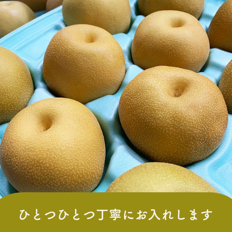 お届け時の豊水