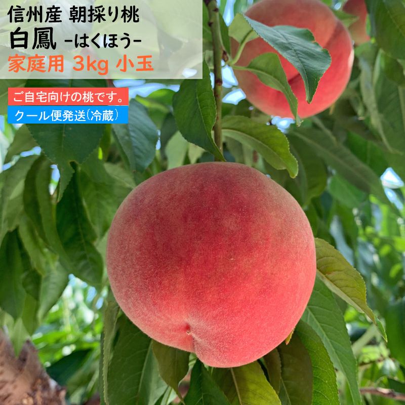 長野県産 桃 白鳳 小玉 約3キロ