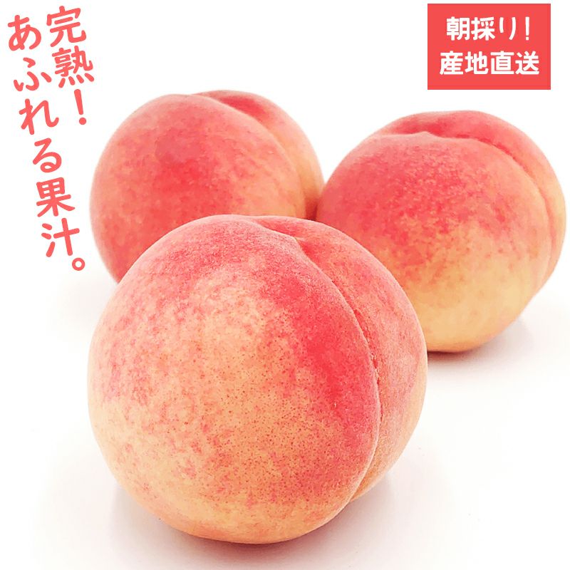長野県産 桃 白鳳 はくほう 小玉 ご家庭用 約3キロ | COCORO