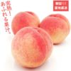 検品