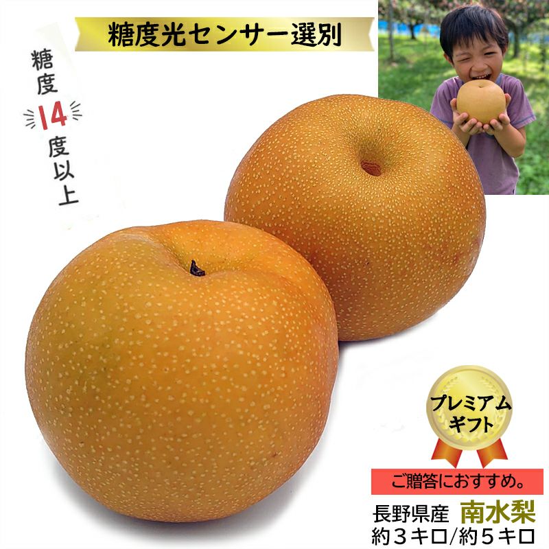 南水1