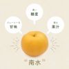 特徴