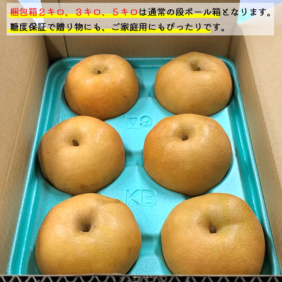 長野県産 梨 南水 プレミアムギフト 約2/3/5キロ | COCORO FARM VILLAGE