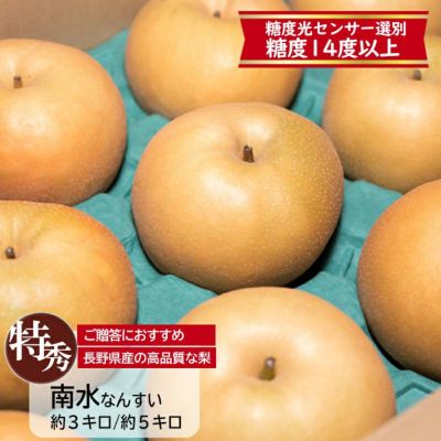 ーーーーーーーーーーーー長野県産 信州産 梨 南水梨 なし 家庭用 10KG