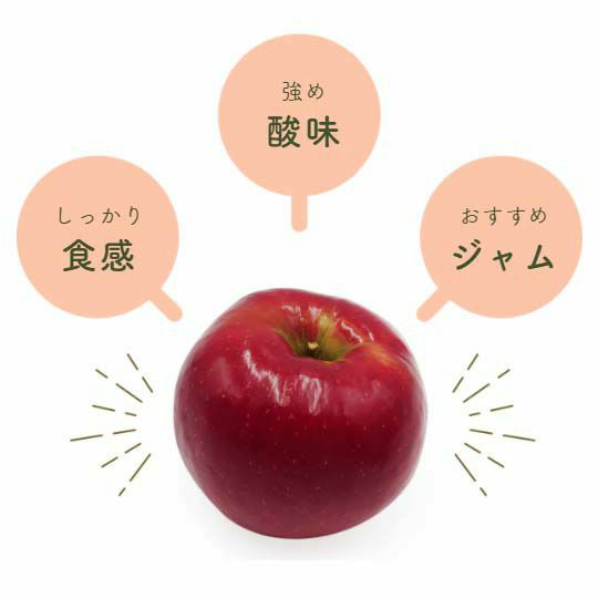 りんご wanisun market / 加工用りんご☆さんふじ6kgover‼︎
