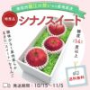 シナノスイート
