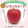 シナノスイート