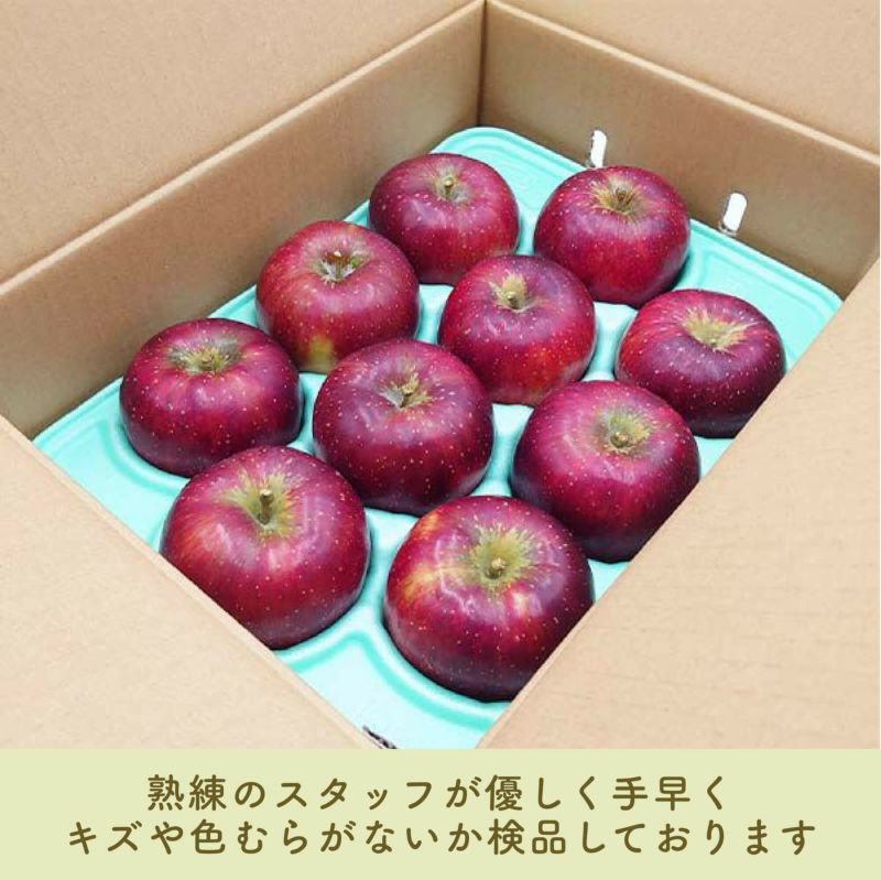 りんご 秋映 秀10kg