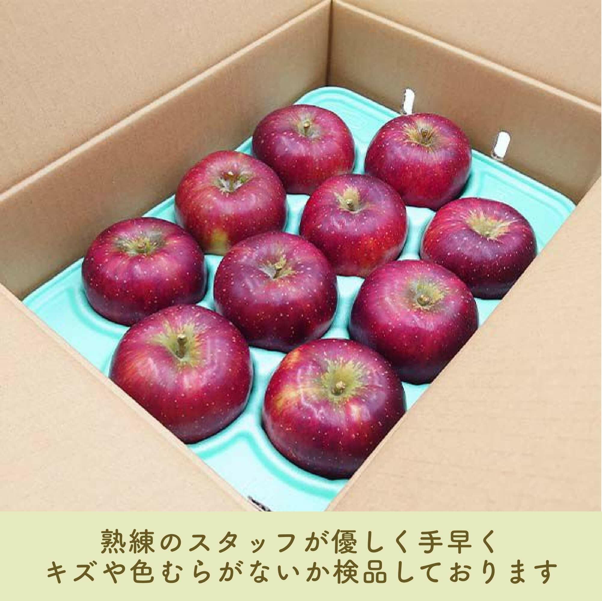 長野県産 りんご秋映 あきばえ プレミアム 約3キロ | COCORO FARM VILLAGE