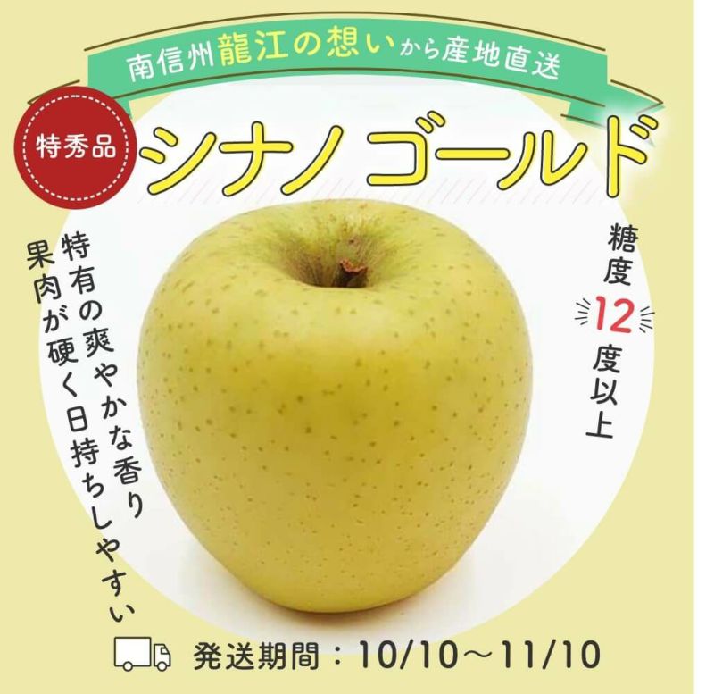 糖度保証12度】りんご シナノゴールド 特秀6～10玉 | COCORO FARM VILLAGE